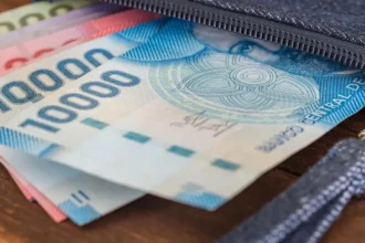 La Pensión Garantizada Universal: Requisitos, Beneficios y Suspensión