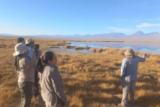 Albemarle fortalece gobernanza territorial en Chile con capacitación técnica en el Salar de Atacama