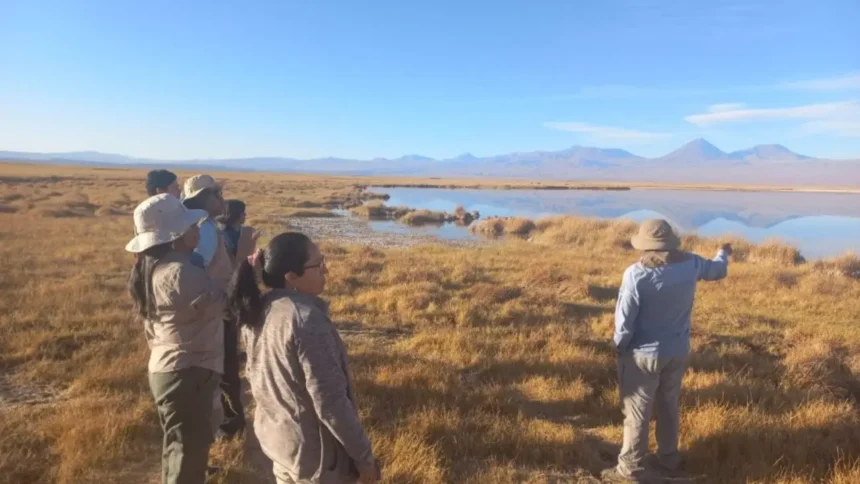 Albemarle fortalece gobernanza territorial en Chile con capacitación técnica en el Salar de Atacama