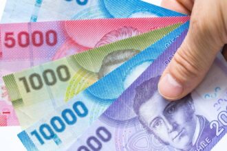 Se abre proceso de solicitud de Pensión Garantizada Universal de $250 mil