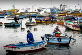 Aprobado proyecto de ley de fraccionamiento en favor de la pesca artesanal