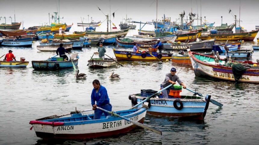 Aprobado proyecto de ley de fraccionamiento en favor de la pesca artesanal