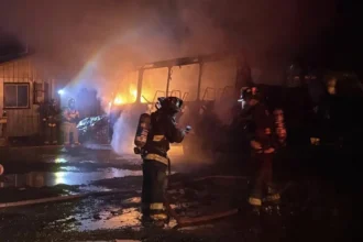 Incendio de dos buses en Río Bueno: investigación en curso