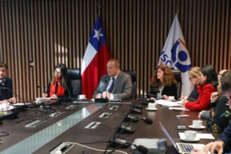 Informe final de diputados sobre terapias hormonales a niños trans