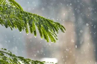 Alerta por lluvias intensas en Santiago: Estado del clima para esta semana