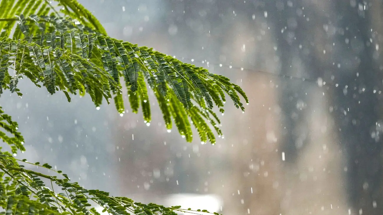 Alerta por lluvias intensas en Santiago: Estado del clima para esta semana Alerta por lluvias intensas en Santiago: Estado del clima para esta semana