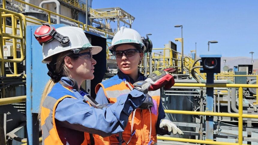 Minera Los Pelambres destaca su compromiso con la inclusión y la equidad: 29% de participación femenina