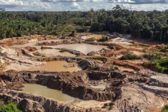 Minería ilegal en Perú movió US$ 2,248 millones en 3 años