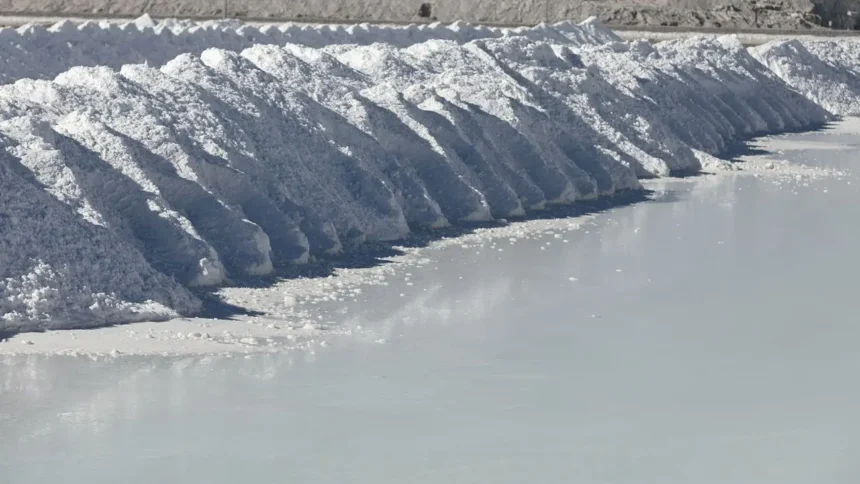 Abiertas exposiciones sobre Estrategia Nacional del Litio en Colchane y Alto Hospicio