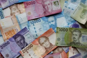 Subsidio al Empleo Joven: ¿Cómo postular y requisitos para acceder?