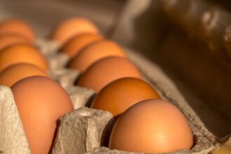 Alza en precio de huevos en invierno: razones y previsión económica