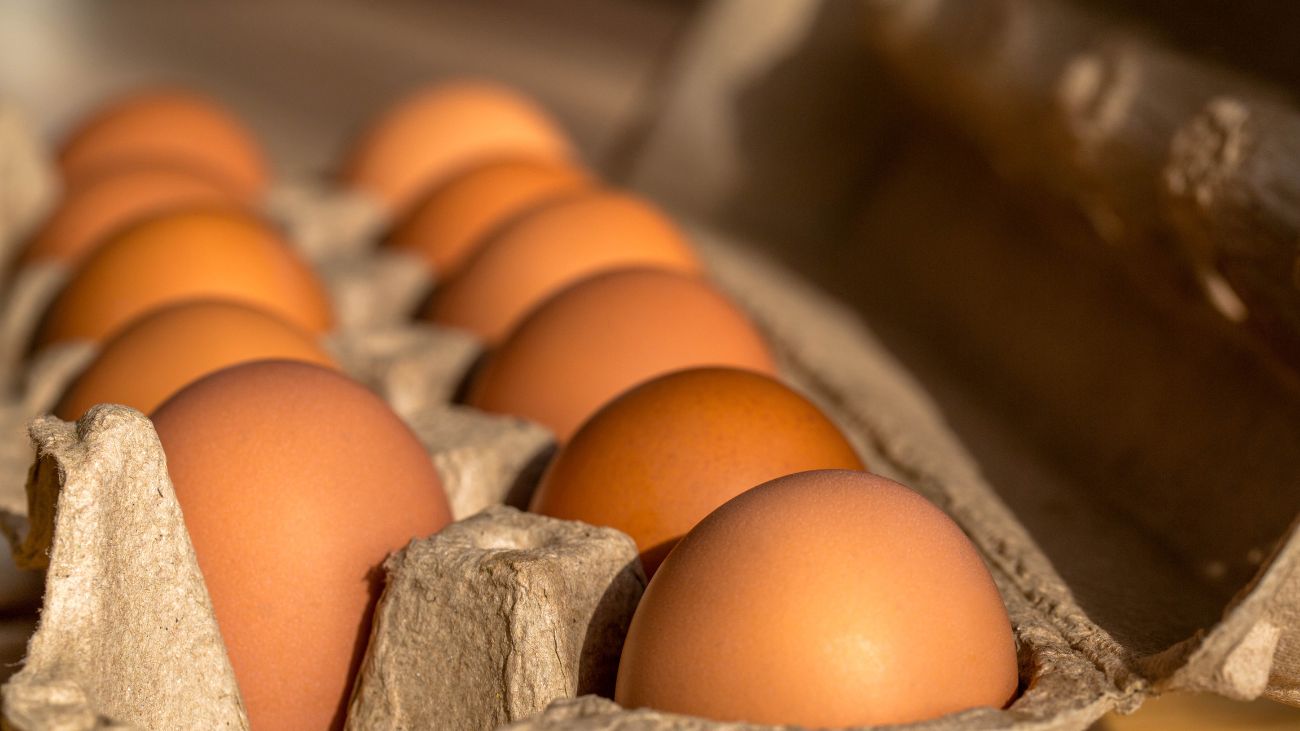 Alza en precio de huevos en invierno: razones y previsión económica Alza en precio de huevos en invierno: razones y previsión económica