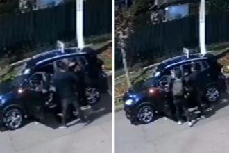 Violento asalto a adulto mayor en La Florida por robo de vehículo