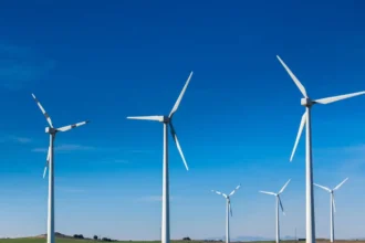 Impacto Ambiental: Proyecto Eólico Alto Los Muermos con capacidad de 430 MW