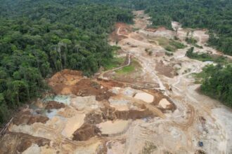 Impacto de la minería ilegal en más de 400 hectáreas de áreas protegidas en Ecuador