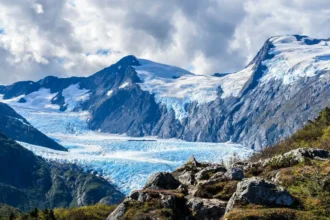 Maravillas de Alaska: Glaciares y vida silvestre en estado puro
