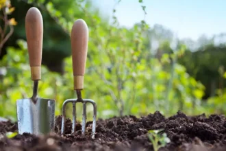 Prepara tu jardín para la primavera y disfruta de sus colores