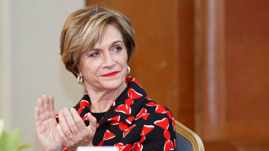 Matthei critica a TVN: Francisco Vidal responde a las críticas