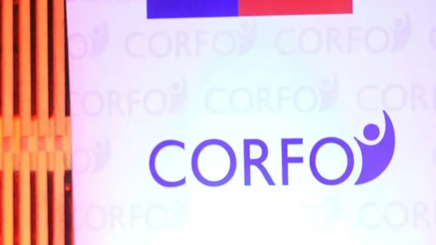 Fomentando la Colaboración y la Innovación en la Región