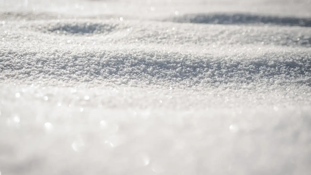27 personas atrapadas por nieve y viento en precordillera norte: operativo rescate en curso 27 personas atrapadas por nieve y viento en precordillera norte: operativo rescate en curso