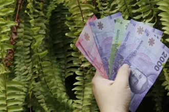 Pensión Básica Solidaria de Invalidez: Monto, Requisitos y Beneficios Actualizados