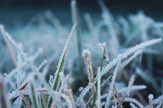 Olas de frío y escarcha en el sur por cambio climático