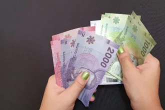 Pensión Básica Solidaria de Invalidez: requisitos y monto actualizado