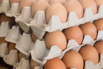 Producción de huevos en Chile: aumenta un 3,2% en mayo