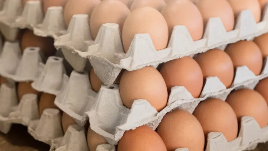 Producción de huevos en Chile: aumenta un 3,2% en mayo
