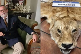 Exembajador acusado de contrabando de pieles de animales salvajes en Chile