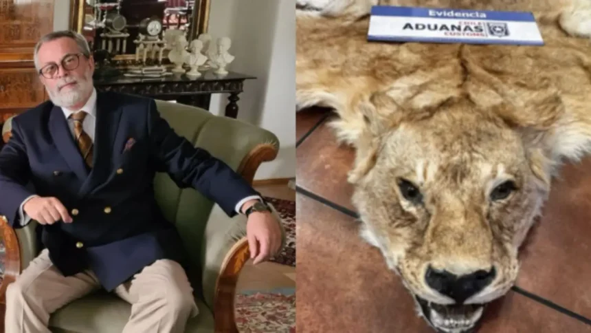 Exembajador acusado de contrabando de pieles de animales salvajes en Chile