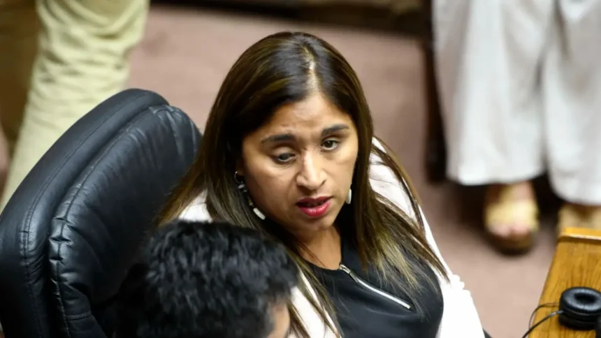 Senadora Campillai califica apoyo a Golpe de Estado como "miseria pura"