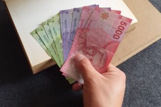 IPS: ¿Tienes bonos sin cobrar? ¡Consulta con solo tu RUT!