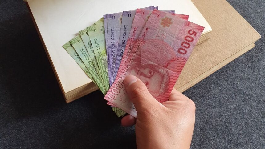 IPS: ¿Tienes bonos sin cobrar? ¡Consulta con solo tu RUT!