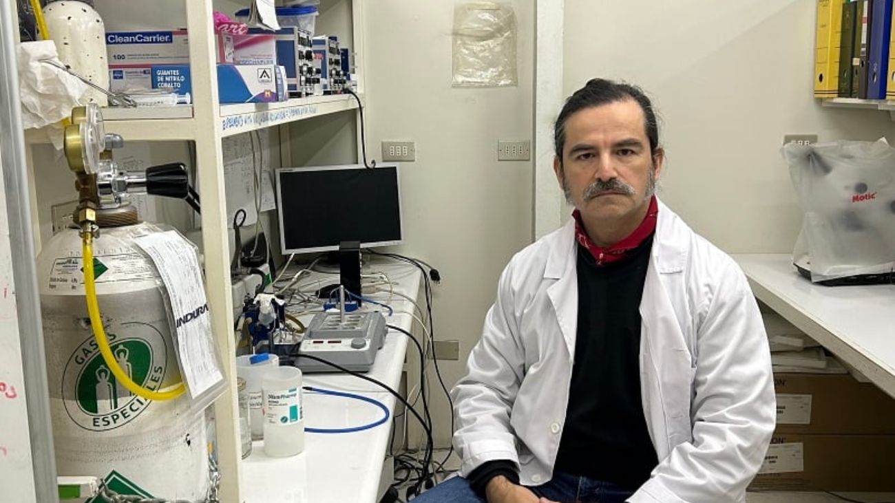 Investigador chileno lidera estudios de fibrosis quística en Reino Unido Investigador chileno lidera estudios de fibrosis quística en Reino Unido