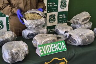 Decomiso de marihuana valuado en mil millones en San Carlos