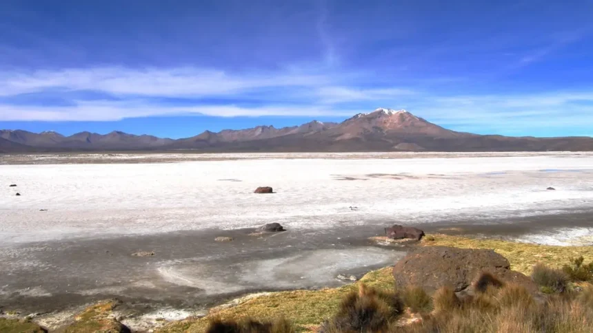 Avances y Desafíos en Investigación de Salares del Norte de Chile