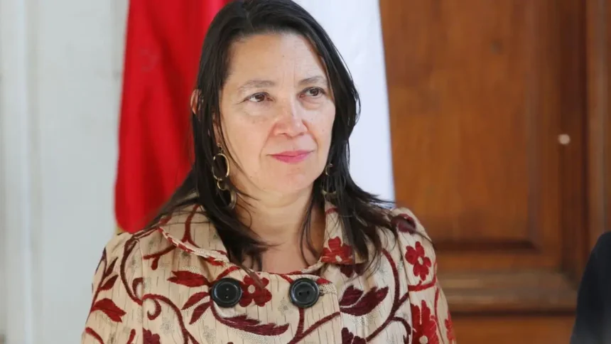 Ministra discute proyecto para eximir a extranjeros de votar en elecciones