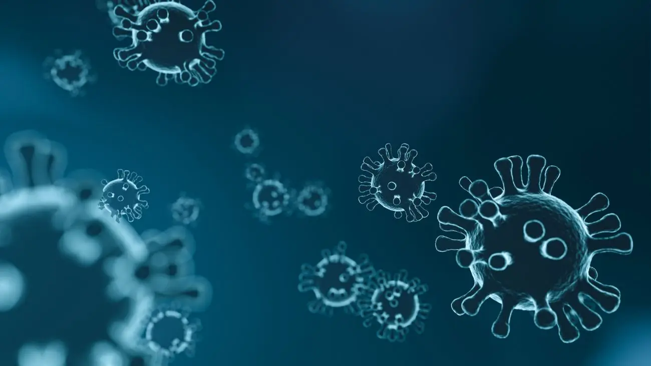 Virus Respiratorio Sincicial lidera en Chile: Alerta por síntomas en grupos vulnerables Virus Respiratorio Sincicial lidera en Chile: Alerta por síntomas en grupos vulnerables