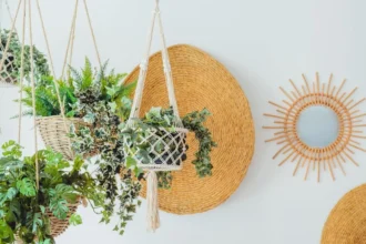 Transforma tu hogar en un oasis natural con plantas decorativas