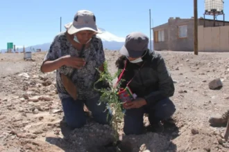 Revelan las 22 iniciativas ganadoras del Fondo de Trabajadores “El Abra en Acción” 2025