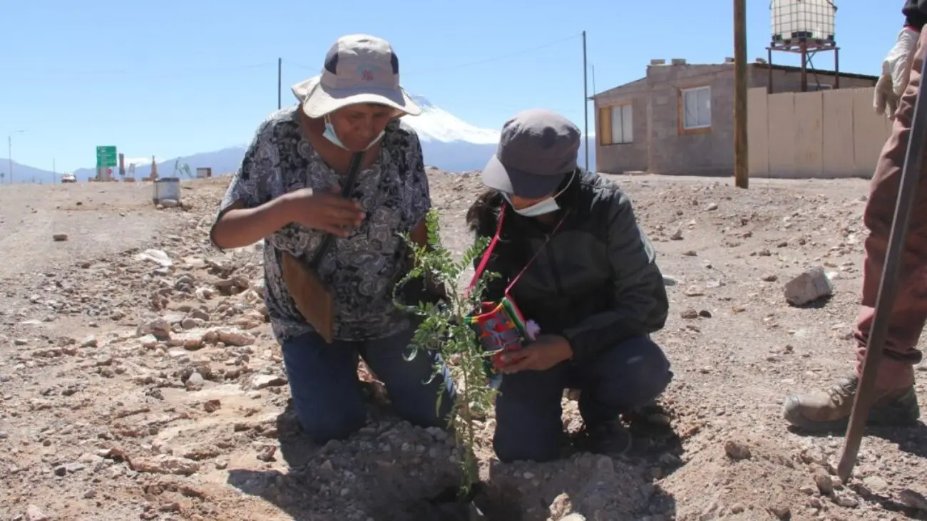 Revelan las 22 iniciativas ganadoras del Fondo de Trabajadores “El Abra en Acción” 2025 Revelan las 22 iniciativas ganadoras del Fondo de Trabajadores “El Abra en Acción” 2025