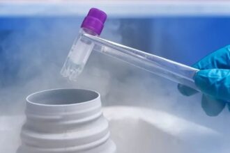 Congelar óvulos en Chile: altos costos limitan acceso a fertilidad