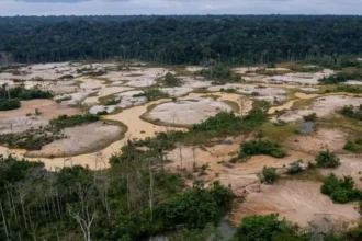 Combatiendo la minería ilegal: prioridad en seguridad y salud para los mineros