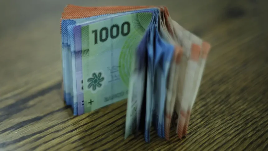 Julio: Bonos y subsidios para familias y trabajadores en Chile