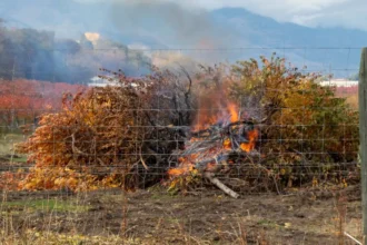Alerta Ambiental en Santiago: prohibido encender calefactores y quemas agrícolas