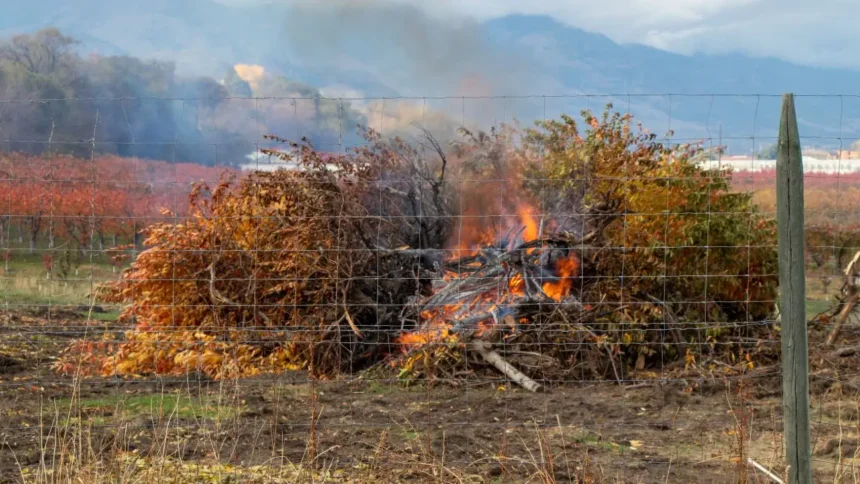 Alerta Ambiental en Santiago: prohibido encender calefactores y quemas agrícolas