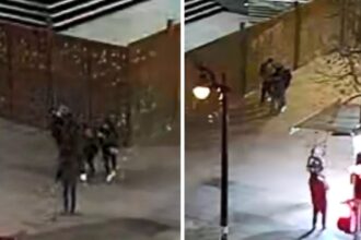 Ataque de "jauría" a turista brasileña en Barrio Bellavista