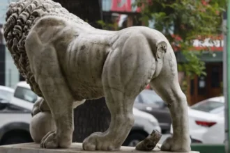 León de mármol en Parque Italia de Valparaíso pierde su cola