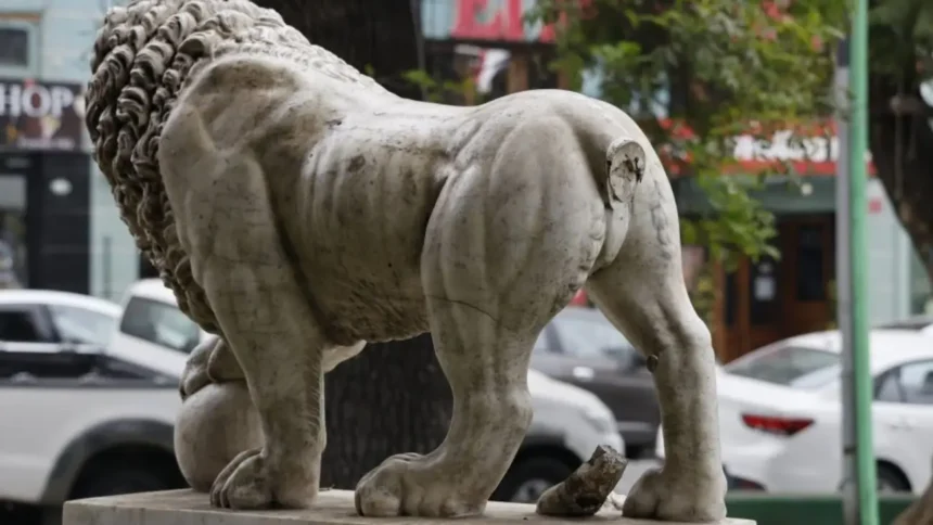 León de mármol en Parque Italia de Valparaíso pierde su cola